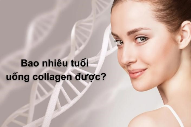 Nên bổ sung collagen từ tuổi bao nhiêu? Từ 20 tuổi liệu có trẻ quá không?- Ảnh 3.