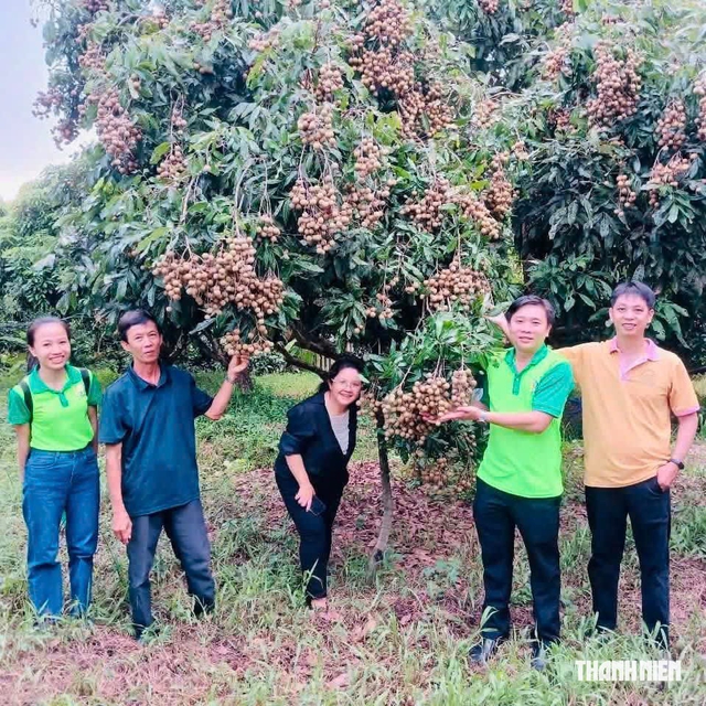 Về qu&ecirc; khởi nghiệp, ch&agrave;ng trai miền T&acirc;y n&acirc;ng tầm tr&aacute;i nh&atilde;n c&ugrave; lao - Ảnh 2.