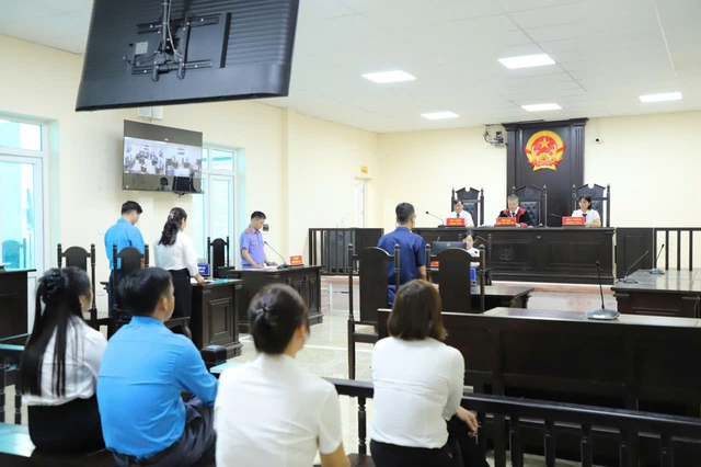 Hơn 330 tỉ đồng tiền BHXH chậm đóng, trốn đóng được thu hồi - Ảnh 1.