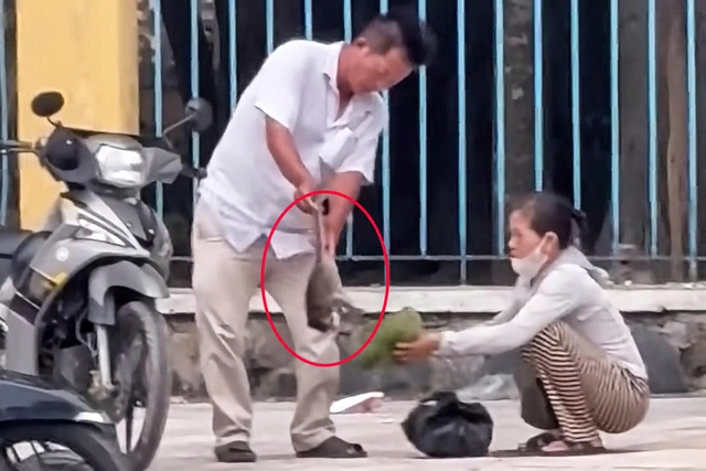 Hai người bắt khỉ con ở Tòa thánh Tây Ninh là ai? - Ảnh 1.