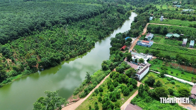 C&aacute; chết h&agrave;ng loạt tại hồ Ea Trum suốt 10 ng&agrave;y, ch&iacute;nh quyền chậm xử l&yacute;? - Ảnh 6.