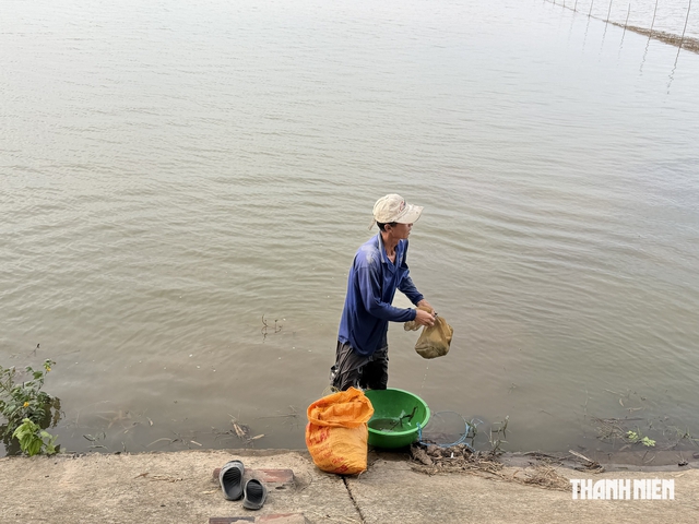 Những căn nhà theo mùa nước nổi: Xóm 'ngóng nước' ở rốn lũ sông Tiền - Ảnh 1.