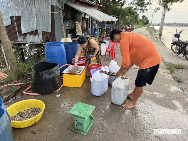 Những căn nhà theo mùa nước nổi: Xóm 'ngóng nước' ở rốn lũ sông Tiền - Ảnh 5.