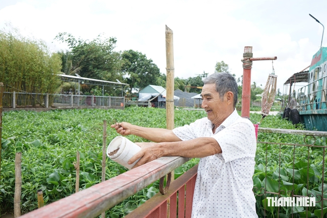Thuận thi&ecirc;n để mưu sinh giữa m&ugrave;a nước nổi - Ảnh 1.
