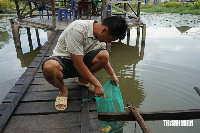 Thuận thi&ecirc;n để mưu sinh giữa m&ugrave;a nước nổi - Ảnh 6.