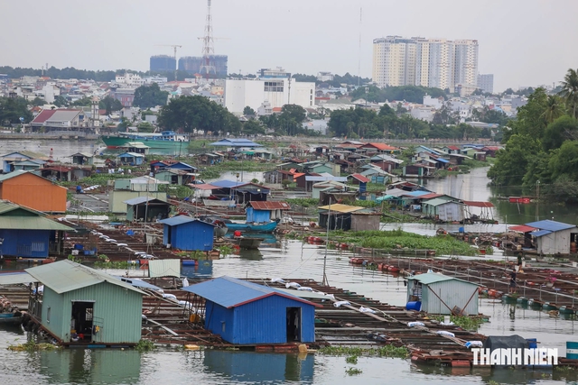 Giải tỏa lồng, b&egrave; nu&ocirc;i c&aacute; ở khu trung t&acirc;m th&agrave;nh phố Đồng Nai l&agrave; cấp b&aacute;ch- Ảnh 2.