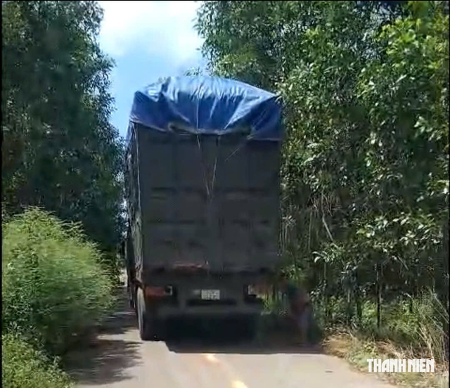 Đường n&ocirc;ng th&ocirc;n v&ugrave;ng ven TP.HCM ng&agrave;y đ&ecirc;m oằn m&igrave;nh v&igrave; xe tải &lsquo;khủng&rsquo;- Ảnh 2.