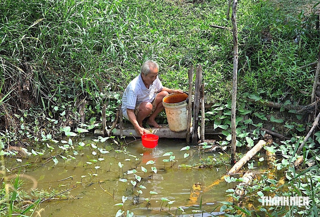 El Nino rất mạnh, gần 13.800 hộ dân Cà Mau có thể thiếu nước- Ảnh 1.