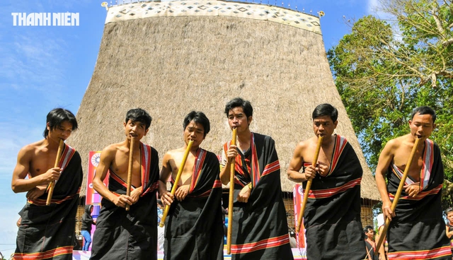Đinh t&uacute;t, thế giới kh&aacute;c của đại ng&agrave;n- Ảnh 1.