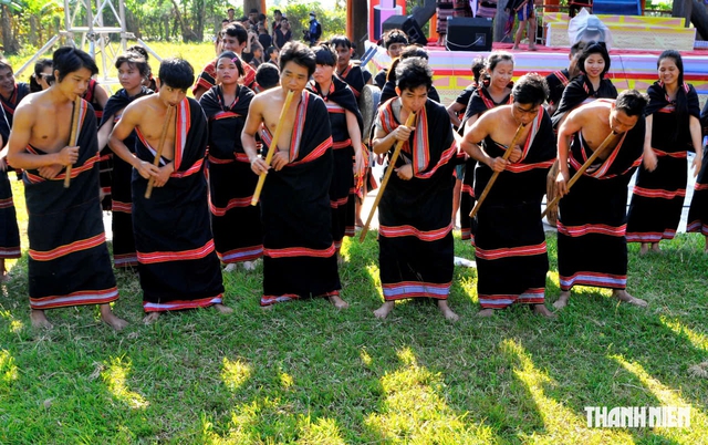 Đinh t&uacute;t, thế giới kh&aacute;c của đại ng&agrave;n- Ảnh 2.