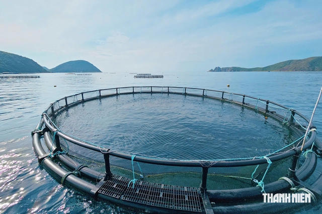 Khánh Hòa hỗ trợ tiền tỉ, trả lương trăm triệu hút nhân lực chất lượng cao- Ảnh 2.