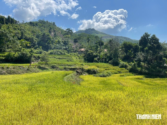 Về Tu La thôn nghe tiếng đàn vang vút - Ảnh 1.