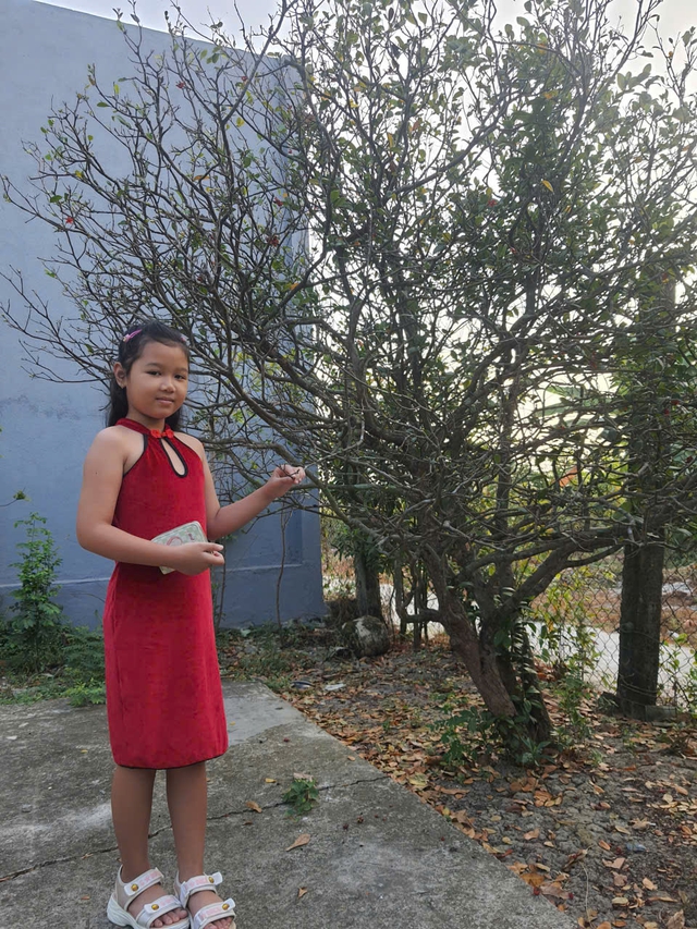 Con thi được học sinh xuất sắc- Ảnh 1.