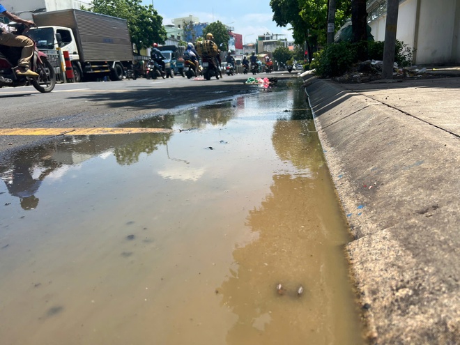 TP.HCM: Người dân 'nuốt không nổi cơm' vì trạm trung chuyển rác Tân Hóa bẩn thỉu- Ảnh 2.