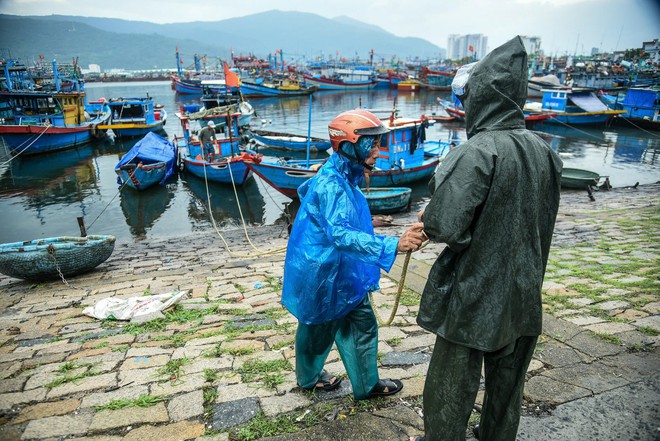 Ngư dân Đà Nẵng tránh bão Trà Mi: Thuê xe cẩu đưa thuyền lên bờ- Ảnh 5.