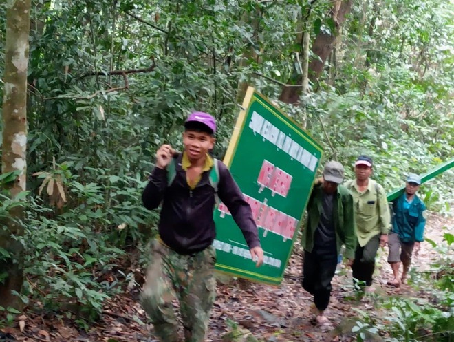 Nỗ lực 'vá' rừng bằng cây gỗ lớn, bởi... 'mở mắt đã thấy rừng'- Ảnh 2.