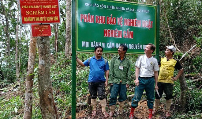 Nỗ lực 'vá' rừng bằng cây gỗ lớn, bởi... 'mở mắt đã thấy rừng'- Ảnh 4.