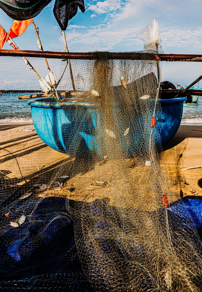 Khung cảnh làng chài nhộn nhịp mùa đặc sản của Phú Quốc- Ảnh 10.