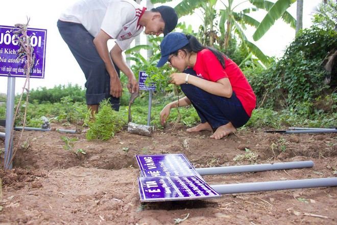 Việc làm xanh: Giấc mơ vườn rừng và lý tưởng sống vì nền nông nghiệp sạch- Ảnh 2.