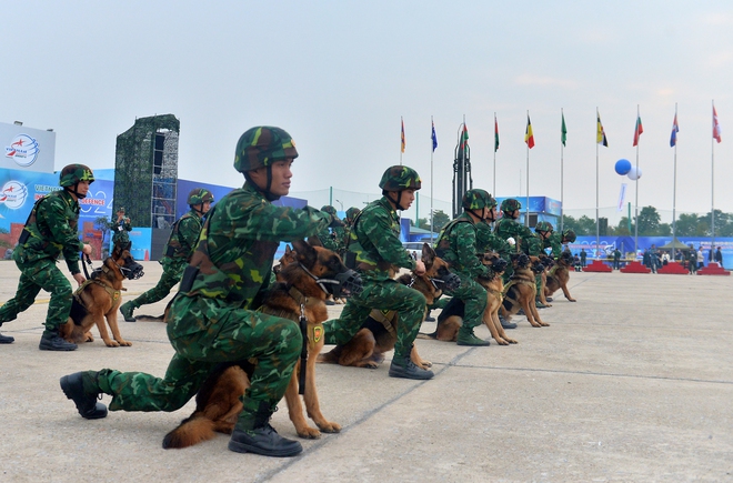 Chó nghiệp vụ từng cứu hộ Làng Nủ trình diễn tại Triển lãm Quốc phòng quốc tế- Ảnh 4.