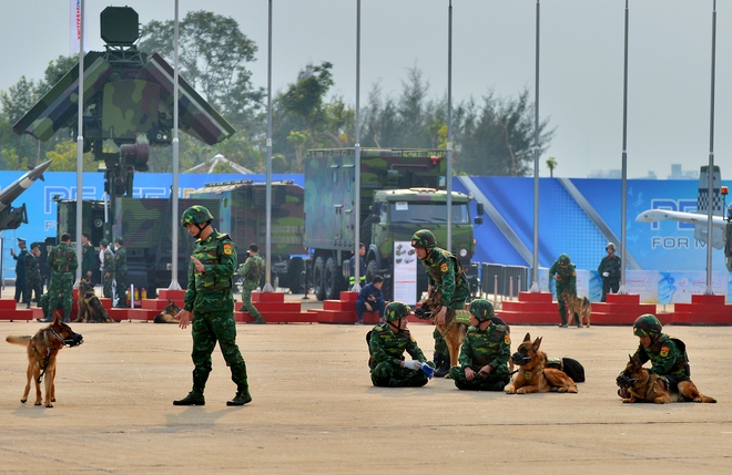 Chó nghiệp vụ từng cứu hộ Làng Nủ trình diễn tại Triển lãm Quốc phòng quốc tế- Ảnh 5.