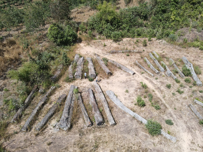 77 m3 gỗ tang vật bị 'bỏ quên' 10 năm, mục nát, gây lãng phí- Ảnh 2.