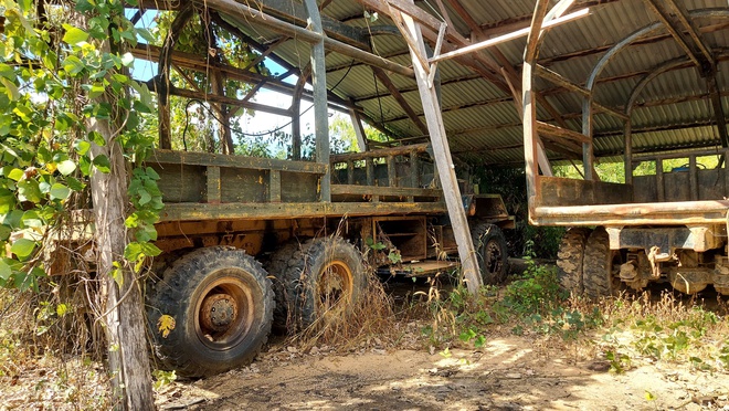 77 m3 gỗ tang vật bị 'bỏ quên' 10 năm, mục nát, gây lãng phí- Ảnh 16.