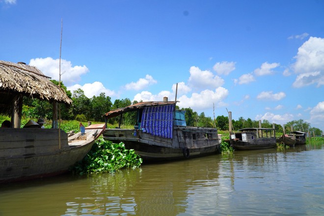 Chợ nổi Tân Phong ở đâu, có gì mà hấp dẫn du khách?- Ảnh 12.