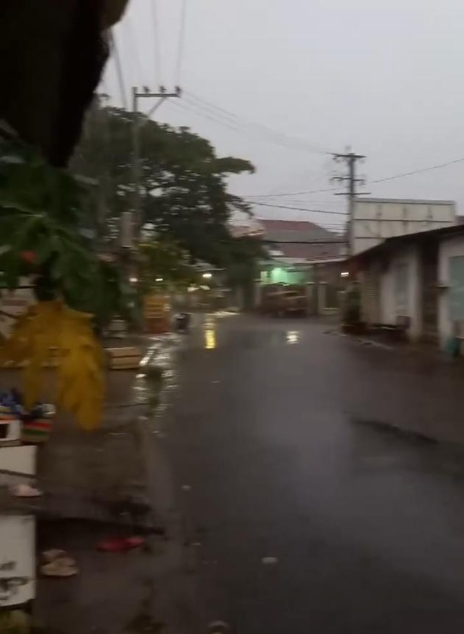 Cơn mưa ‘giải khát’ cho cây trồng và người dân Bình Phước- Ảnh 2.