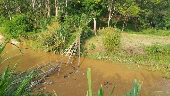 Kon Tum: Cầu treo hư hỏng, người dân phải lội suối đi làm- Ảnh 22.