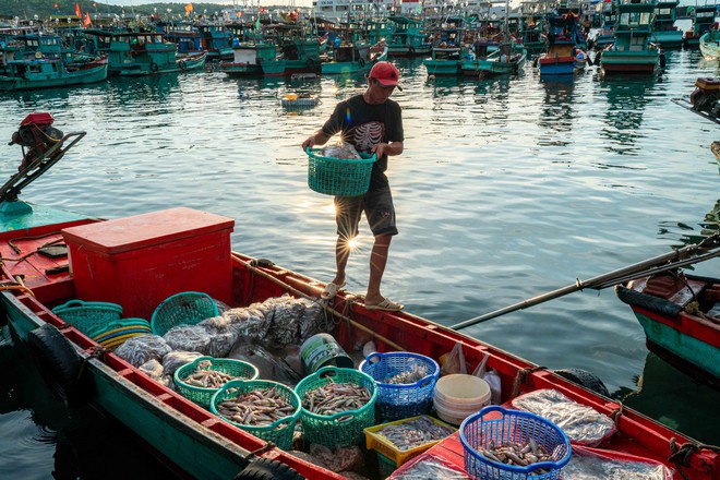Bên trong cảng cá lâu đời nhất Phú Quốc- Ảnh 4.