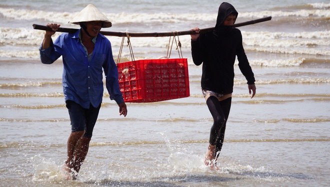 Ngư dân vào mùa moi biển, 'bỏ túi' cả triệu đồng mỗi ngày- Ảnh 10.