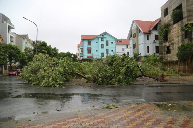 Quảng Ninh huy động hàng nghìn người dọn dẹp sau bão số 2- Ảnh 4.