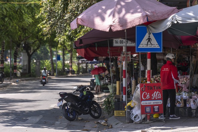 Biển báo giao thông 'núp lùm' trên phố Hà Nội- Ảnh 1.