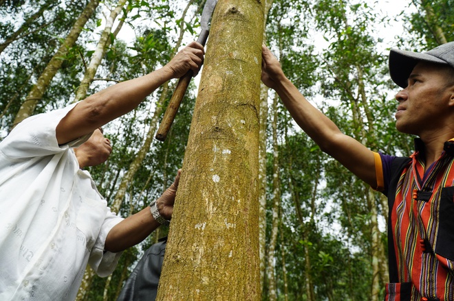 'Gõ cửa' Ho Rum- Ảnh 5.