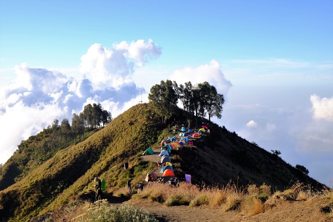 Khách Việt chinh phục cung trek núi lửa kỳ vĩ bậc nhất Indonesia- Ảnh 5.