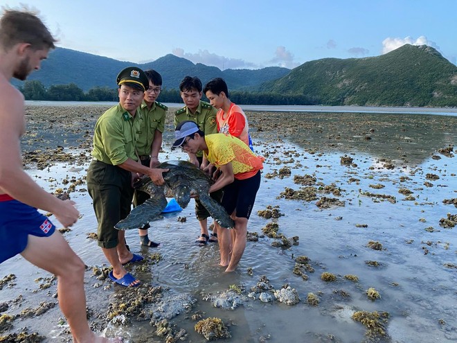 Đang chạy bộ vì rùa biển Côn Đảo, giải cứu luôn chú rùa mắc cạn ở bãi Lò Vôi- Ảnh 4.