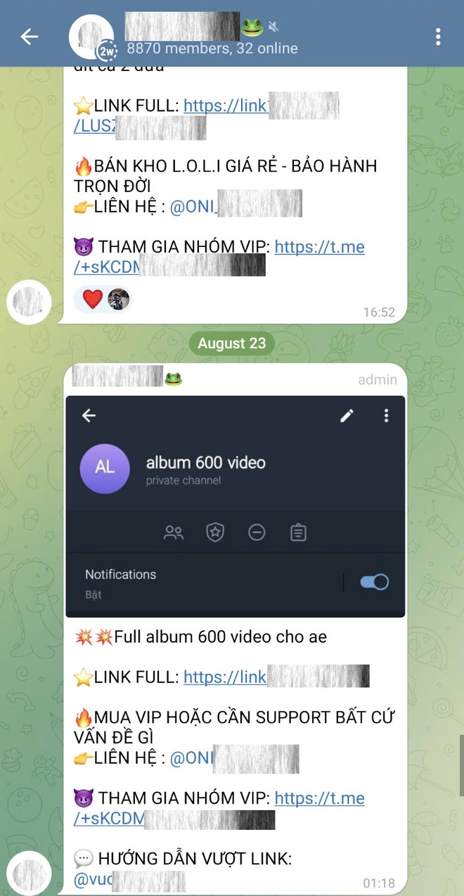 Mặt trái của Telegram và mảnh đất của giới tội phạm- Ảnh 2.