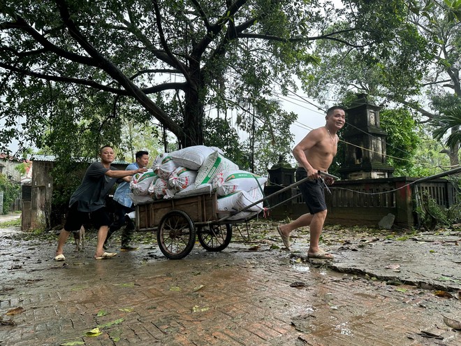 Người Hà Nội tại 'rốn lũ' Chương Mỹ bơi xuồng vào nhà, dựng lán cứu gia cầm- Ảnh 13.