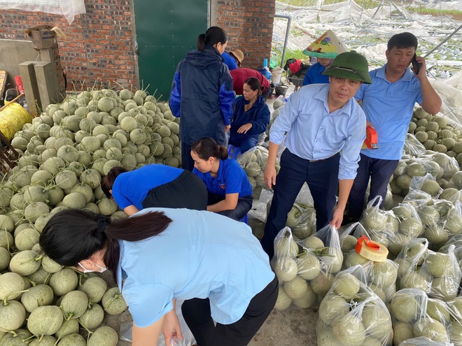 Hàng trăm đội hình thanh niên xông pha giúp dân khắc phục thiệt hại sau bão- Ảnh 12.