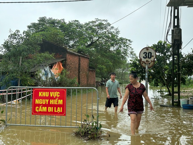 Người Hà Nội tại 'rốn lũ' Chương Mỹ bơi xuồng vào nhà, dựng lán cứu gia cầm- Ảnh 10.