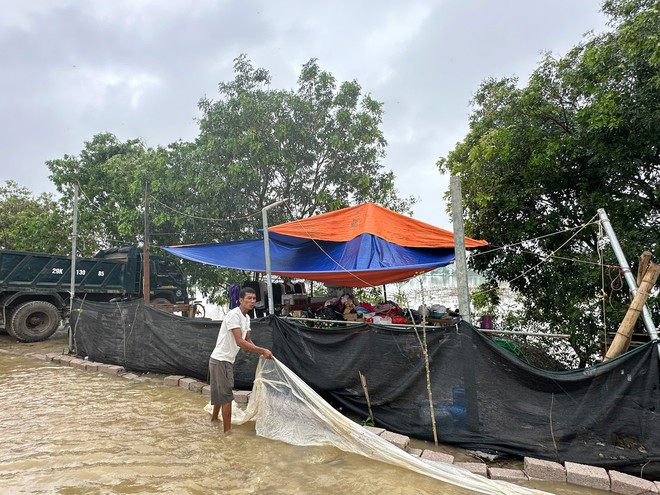 Người Hà Nội tại 'rốn lũ' Chương Mỹ bơi xuồng vào nhà, dựng lán cứu gia cầm- Ảnh 11.