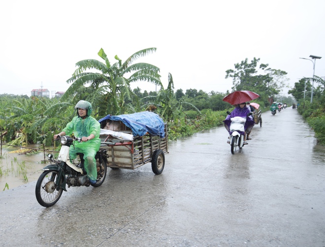 Chạy đua với lũ vớt vát tài sản, hoa màu- Ảnh 15.