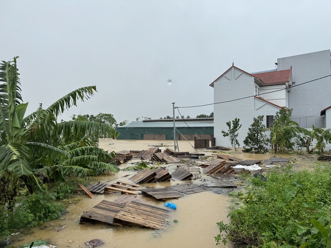 Chạy đua với lũ vớt vát tài sản, hoa màu- Ảnh 2.