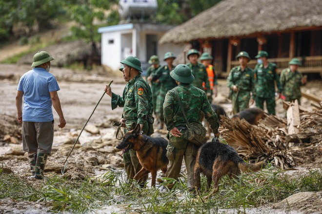 'Lực lượng' đặc biệt tham gia tìm kiếm nạn nhân ở Làng Nủ- Ảnh 6.