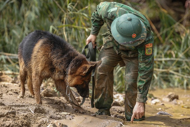 'Lực lượng' đặc biệt tham gia tìm kiếm nạn nhân ở Làng Nủ- Ảnh 8.