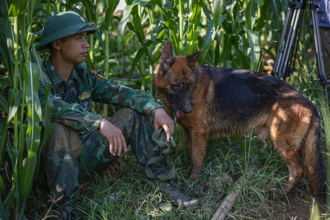 'Lực lượng' đặc biệt tham gia tìm kiếm nạn nhân ở Làng Nủ- Ảnh 15.