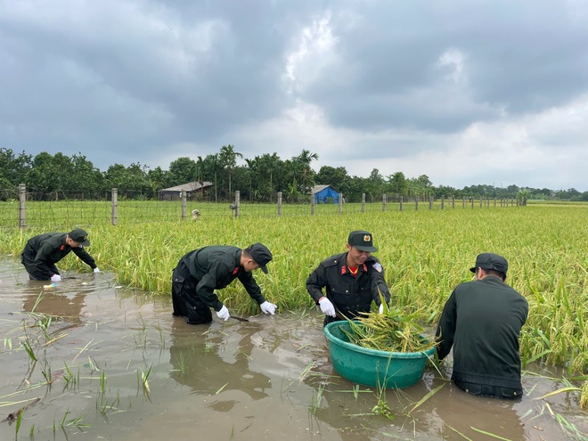 Bộ Tư lệnh CSCĐ liên tục tung quân ứng cứu đồng bào vùng lũ- Ảnh 2.