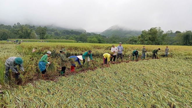 Tuyên Quang ngày lũ rút- Ảnh 9.