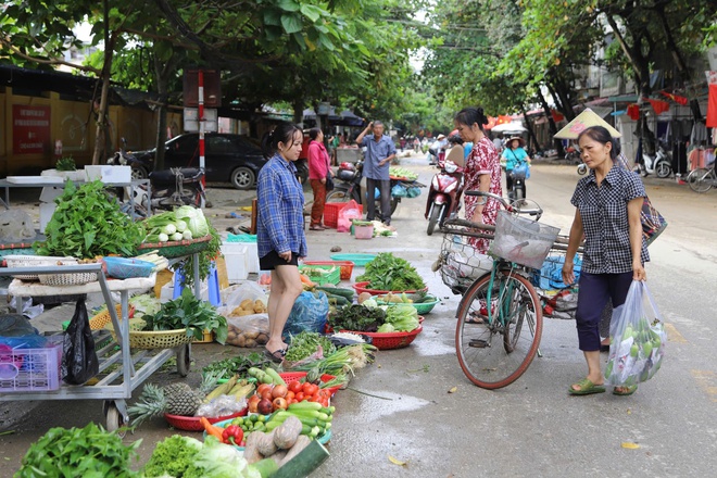 Tuyên Quang ngày lũ rút- Ảnh 10.